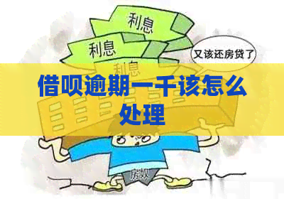 信用卡逾期一千该怎么处理