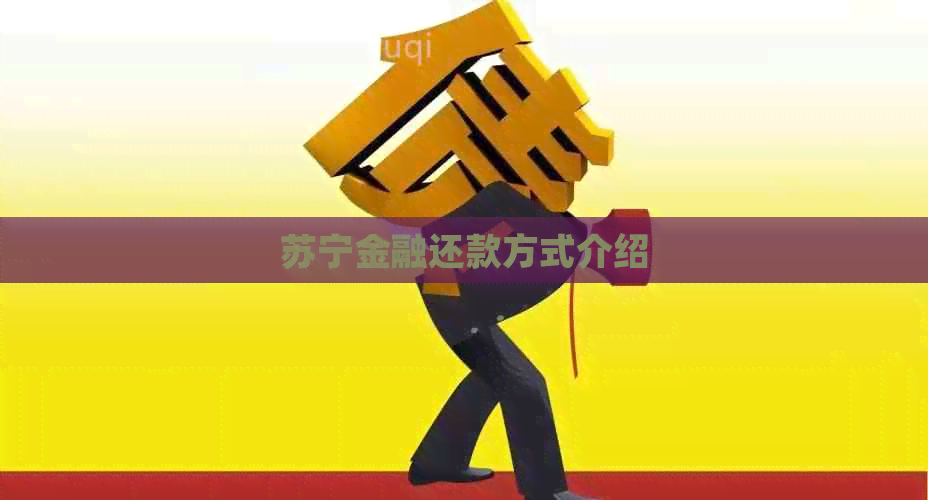 苏宁金融还款方式介绍
