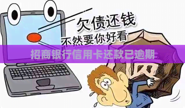 招商银行信用卡还款已逾期