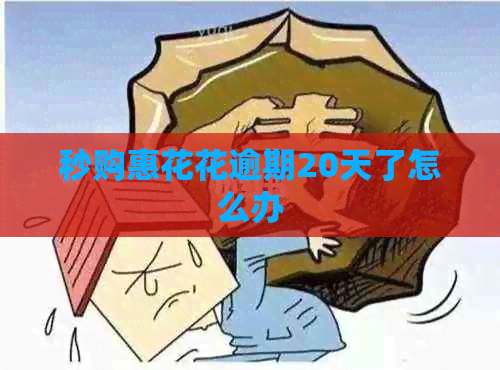 秒购惠花花逾期20天了怎么办