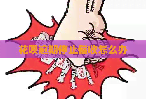 白条逾期停止怎么办