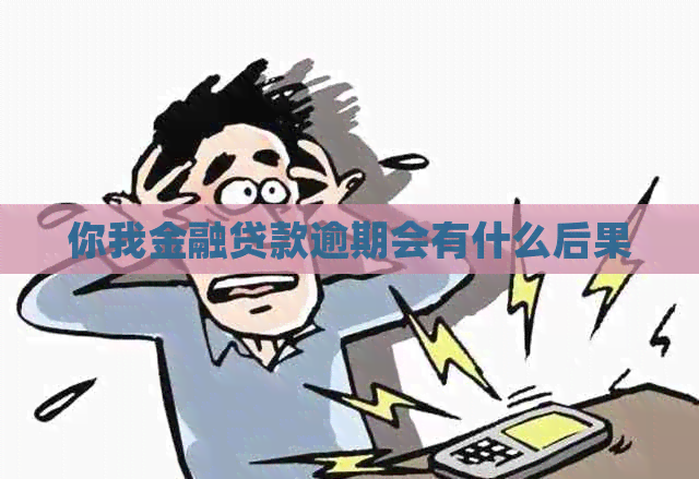 你我金融贷款逾期会有什么后果