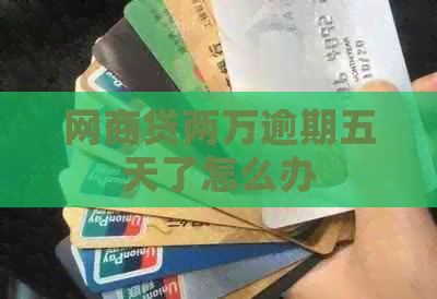 白条贷两万逾期五天了怎么办