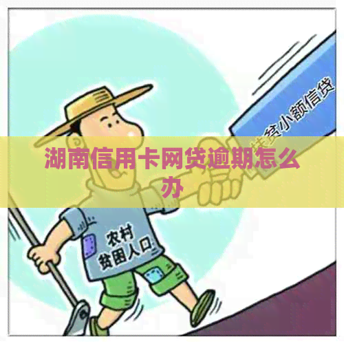 湖南信用卡网贷逾期怎么办
