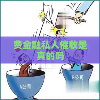 费金融私人是真的吗