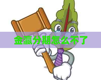 金瀛分期怎么不了