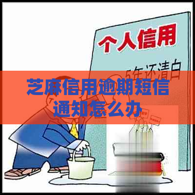 芝麻信用逾期短信通知怎么办