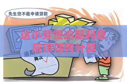 这小芽贷逾期利息应该如何计算