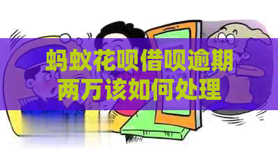蚂蚁白条信用卡逾期两万该如何处理