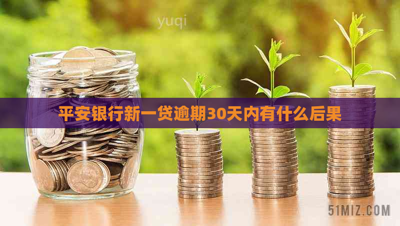 平安银行新一贷逾期30天内有什么后果
