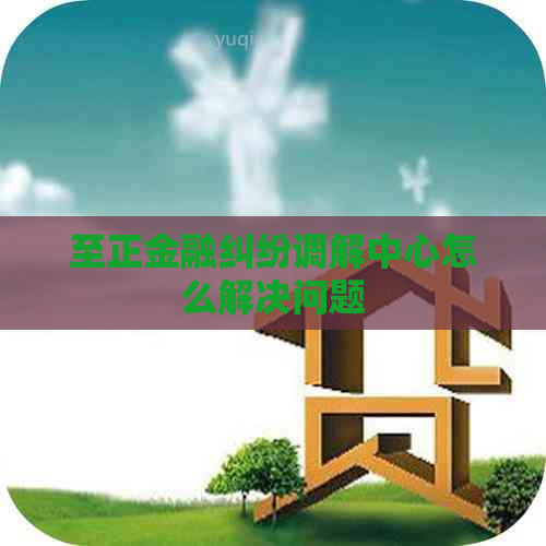 至正金融纠纷调解中心怎么解决问题