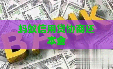 蚂蚁信用贷协商还本金