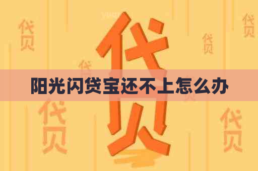 阳光闪贷宝还不上怎么办
