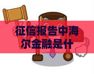 报告中海尔金融是什么意思