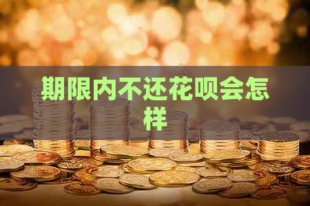 期限内不还花呗会怎样