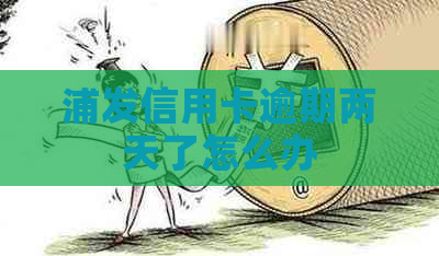 浦发信用卡逾期两天了怎么办