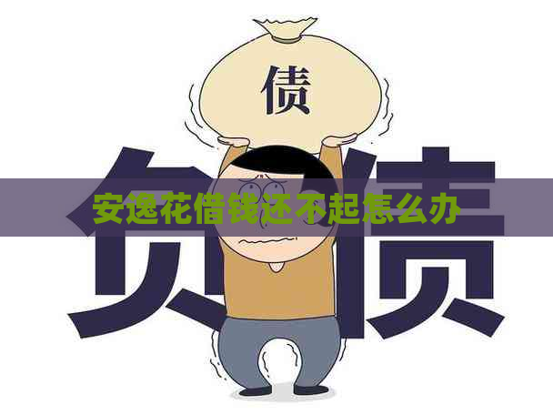 安逸花借钱还不起怎么办