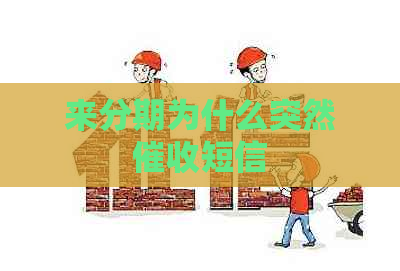 来分期为什么突然短信