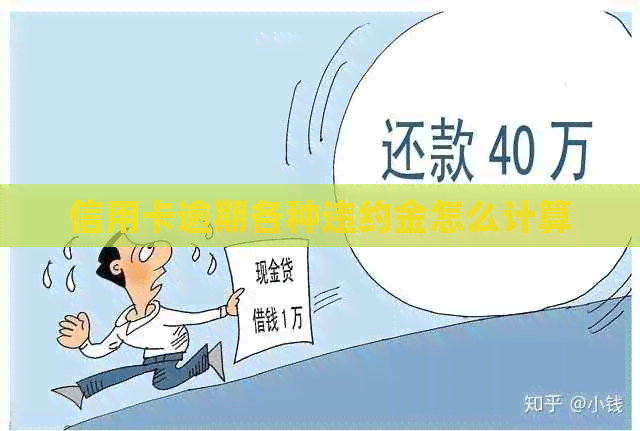 信用卡逾期各种违约金怎么计算