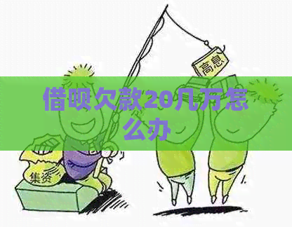信用卡欠款20几万怎么办