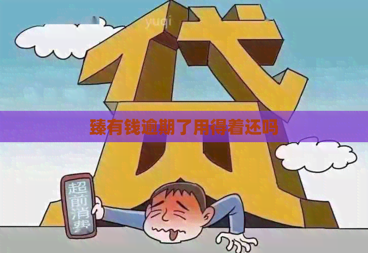 臻有钱逾期了用得着还吗