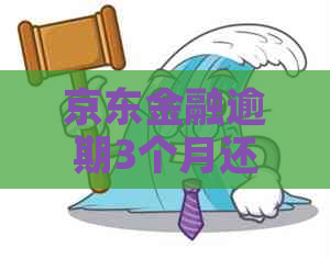 京东金融逾期3个月还款怎么办