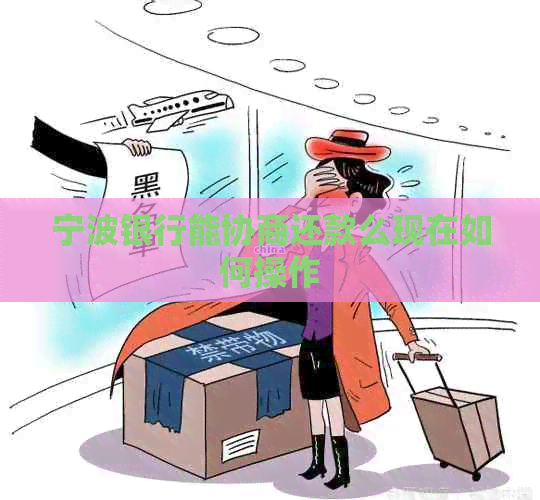宁波银行能协商还款么现在如何操作