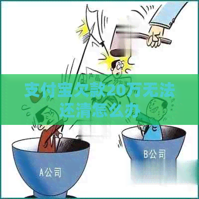 信用卡欠款20万无法还清怎么办