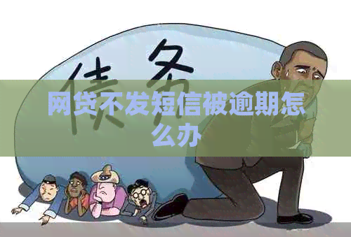网贷不发短信被逾期怎么办