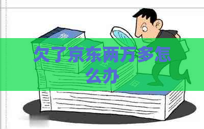 欠了京东两万多怎么办