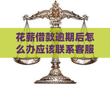 花薪借款逾期后怎么办应该联系客服解决