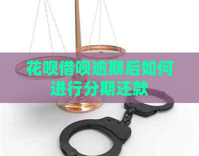 白条信用卡逾期后如何进行分期还款