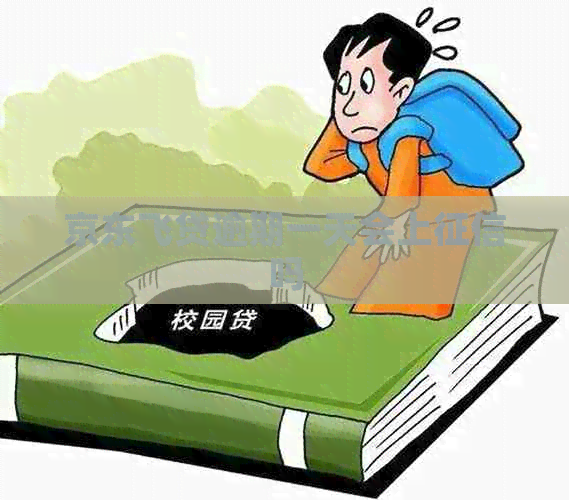 京东飞贷逾期一天会上吗