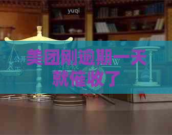 美团刚逾期一天就了