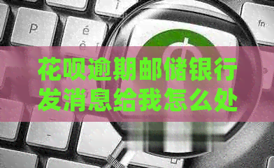 白条逾期邮储银行发消息给我怎么处理