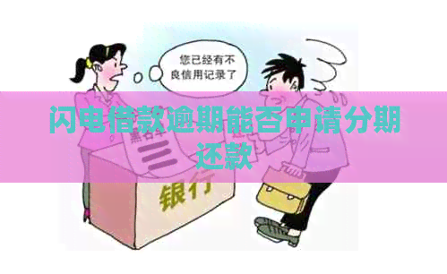 闪电借款逾期能否申请分期还款
