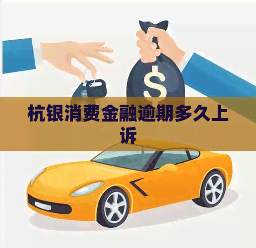 杭银消费金融逾期多久上诉