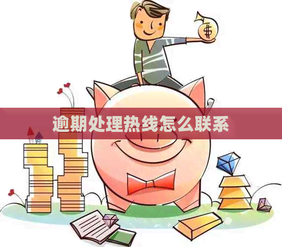 逾期处理热线怎么联系