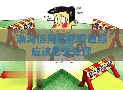 渤海信用和白条逾期应该怎么处理