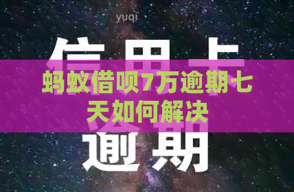 蚂蚁信用卡7万逾期七天如何解决