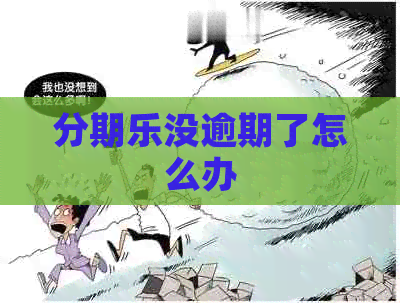 没逾期了怎么办