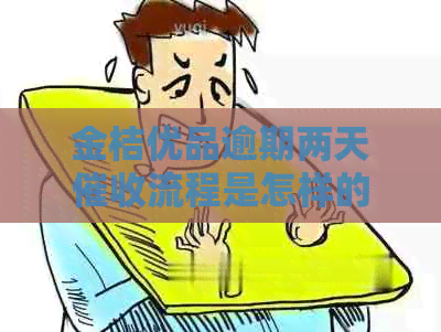金桔优品逾期两天流程是怎样的