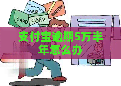 信用卡逾期5万半年怎么办