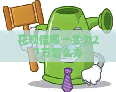 白条信用卡一共欠27万怎么办