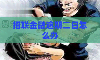 招联金融逾期二日怎么办