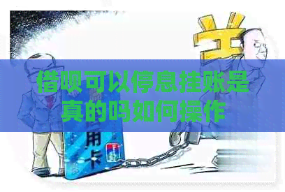 信用卡可以停息挂账是真的吗如何操作