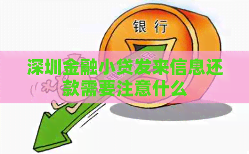 深圳金融小贷发来信息还款需要注意什么