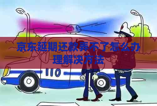 京东延期还款弄不了怎么办理解决方法