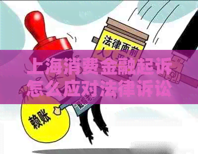 上海消费金融起诉怎么应对法律诉讼