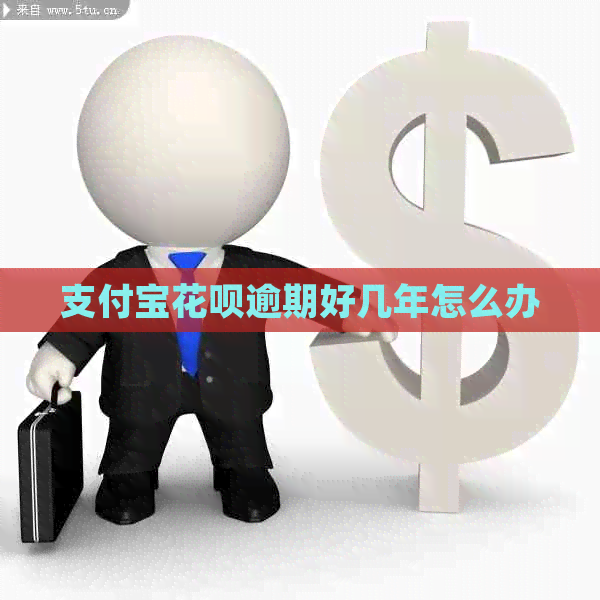 信用卡白条逾期好几年怎么办